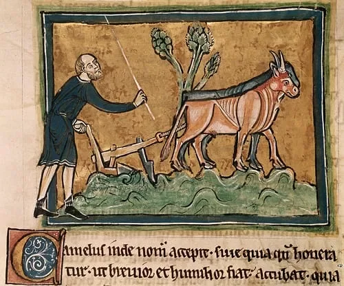 The Medieval Agricultural Revolution