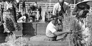 Inizio della "battaglia del grano" e della "bonifica integrale"