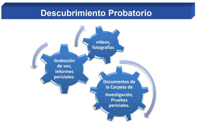 Artículo 337. Descubrimiento probatorio