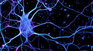 La llegada de la súper-resolución