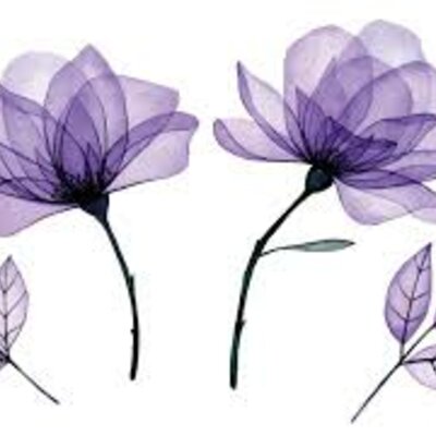 Timeline: MI AUTOBIOGRAFIA :)