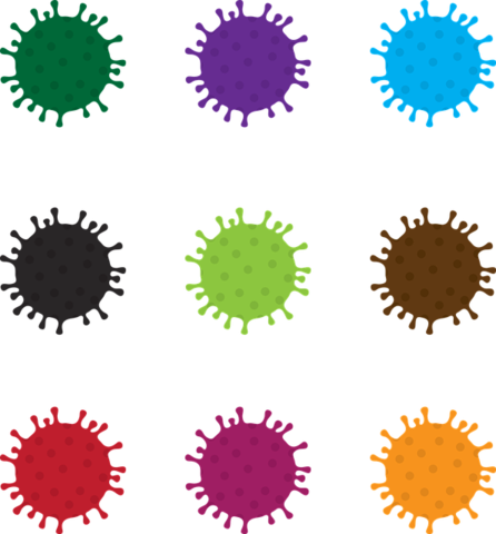 H1N1 Added to Questionaire