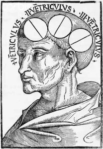 Teoría ventricular (Alberto Magno) - Edad Media