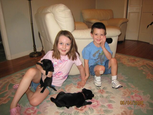 Chapter 6: Early Childhood (2-6): Social World