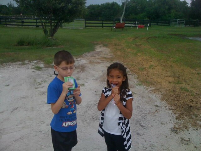 Chapter 8: Middle Childhood (6-11): Social World