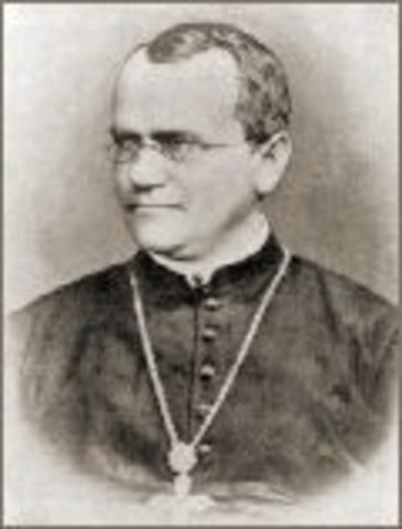 Gregor Mendel