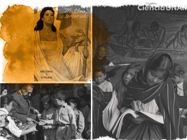 Plan de los once años