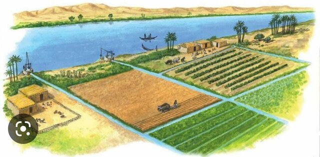 La agricultura de regadío en Egipto