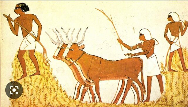 Las civilizaciones fluviales