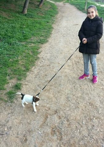 Primer passeig amb el meu gos