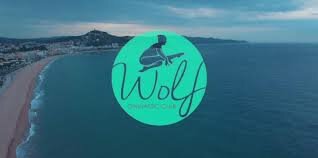 Primer dia fent gimnàstica artística