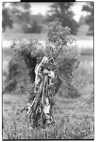 A Broken Environment