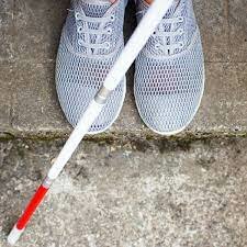 LEY 2266 SE GARANTIZA EL ACCESO AL BASTÓN BLANCO