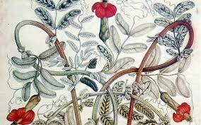 Expedición Botánica