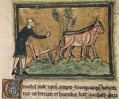 Medieval Agricultural Revolution
