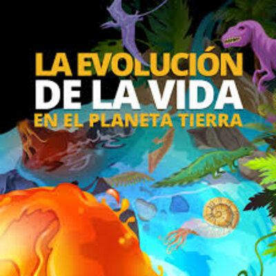 Timeline: Evolución de la vida en la Tierra