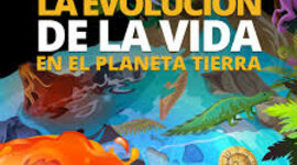 Timeline: Evolución de la vida en la Tierra