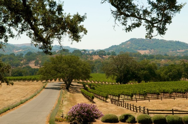 New Love...New Experience...