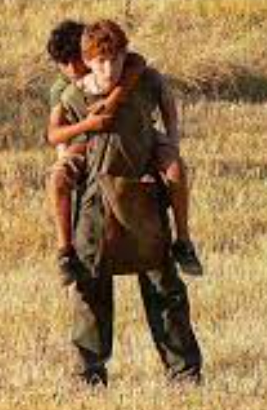 IL RAPPORTO TRA MALPELO E RANOCCHIO