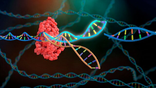 Sistema de edición de genes CRISPR-Cas9