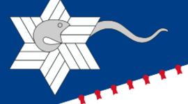 Timeline: The Branch Davidians