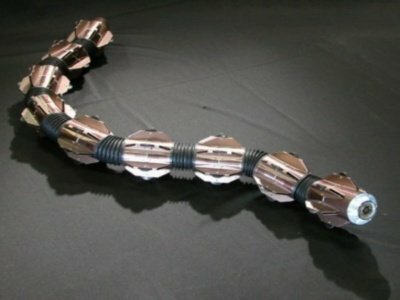 ACM-R1, robot serpent