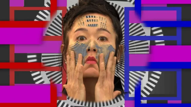 Hito Steyerl - 1966