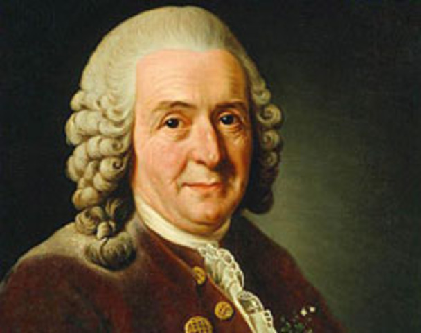 Carolus Linnaeus, 1735