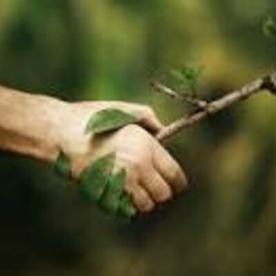 Timeline: La relación del sistema humano y la naturaleza