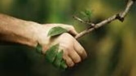 Timeline: La relación del sistema humano y la naturaleza