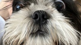 Timeline: Časovni trak