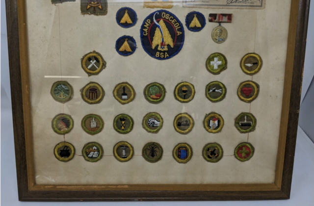 Boy Scouts in Wartime