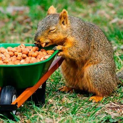 Timeline: History: Ancient to Today