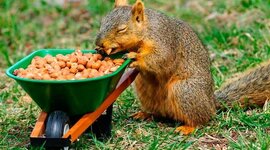 Timeline: History: Ancient to Today