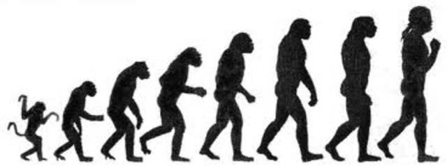 Darwin's Theory of Evolution