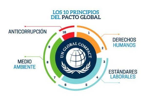 Agregan los principios