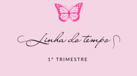 Timeline: Linha do tempo história - Yasmin Couto 9°A