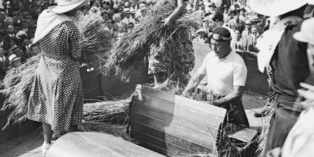 LA BATTAGLIA DEL GRANO