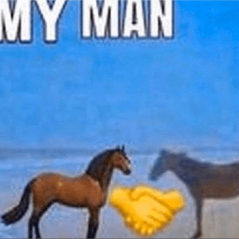 Criação da enciclopédia