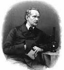 Teoría celular plantas