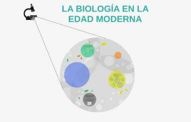 Descobriment de la cel-lula