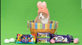 Timeline: crash, a cat that is going to be in cadburry's commercial