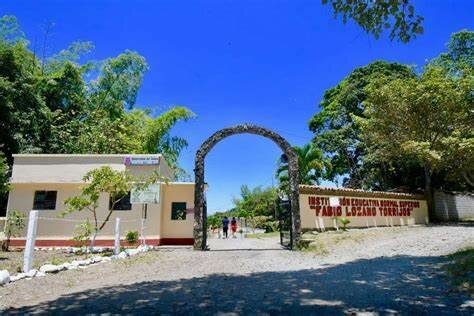 PRACTICA PEDAGOGICA I  Observación Participante.