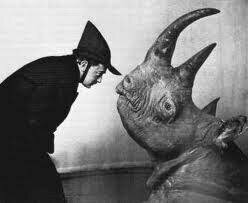 Premier of Rhinoceros