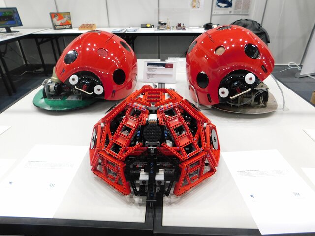 szegedi Katicabogár megalkotása