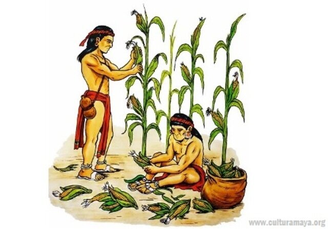 Las Agricultura en Mesoamérica