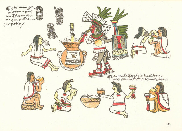 Fermentación
