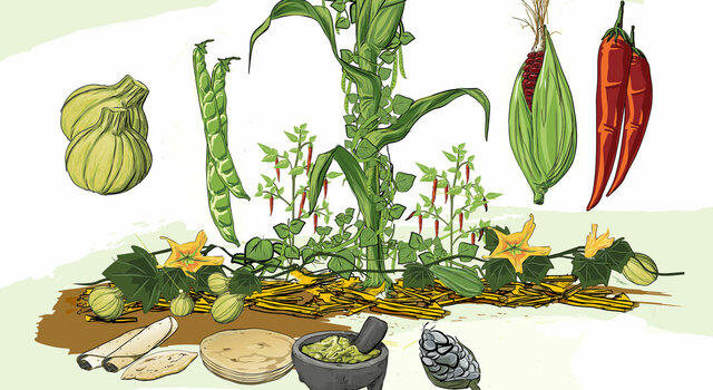 Cocina Mexicana De la Milpa