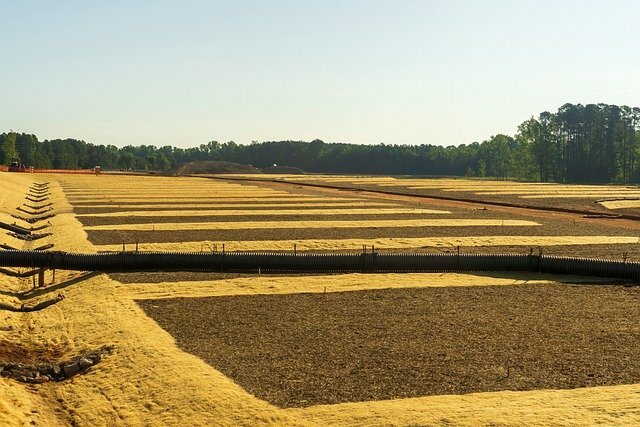 Aumento de la superficie cultivada