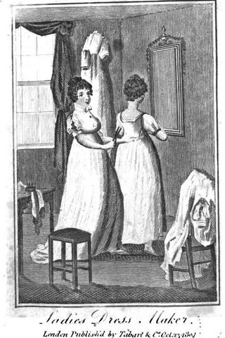 The fashionable petticoats controverse